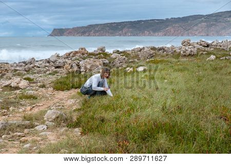 Woman, Girl Collects Flowers On The Shores Of The Atlantic Ocean