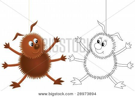 Araña