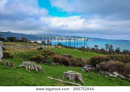 Florence Hill Lookout At The Catlins, South Island, New Zealand
