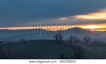 Foggy Winter Sunrise In The Collio Friulano, Italy