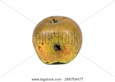 Boring Trace Of A Codling Moth Cydia Pomonella, In A Wormy Apple. On White Background. Place To Writ
