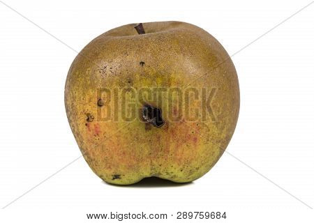 Boring Trace Of A Codling Moth Cydia Pomonella, In A Wormy Apple. On White Background. Place To Writ