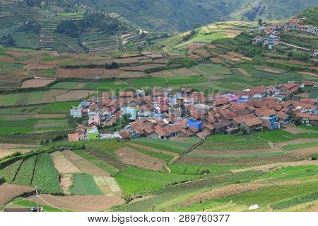 Poombarai Village View From Hill Top