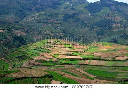 Sightseeing In Kodaikanal