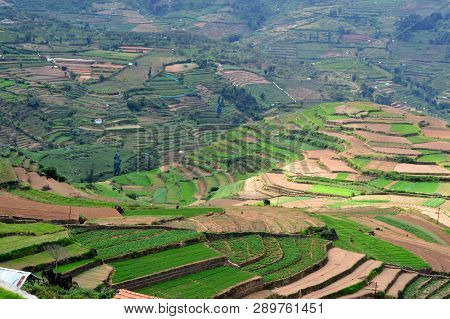 Beautiful Step Cultivation In Poombarai Village