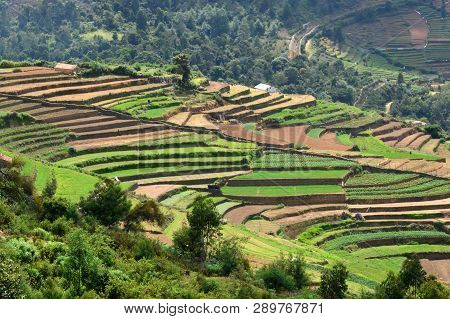 Poombarai Village And Terraced Farming In Kodaikanal