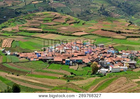 Poombarai Village And Terraced Farming In Kodaikanal
