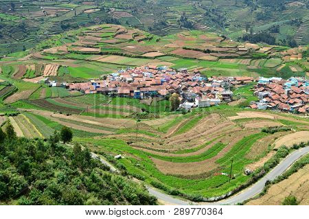 Poombarai Village And Terraced Farming In Kodaikanal