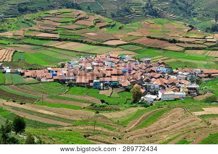Poombarai Village And Terraced Farming In Kodaikanal