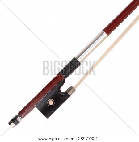 Violin Bow Isolated At Dry Sunny Summer Day