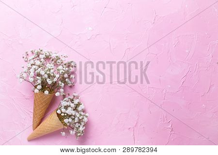 Tender Fresh White Gypsofila  Flowers In Waffle Cones On  Pink Textured Background. Top View. Place 
