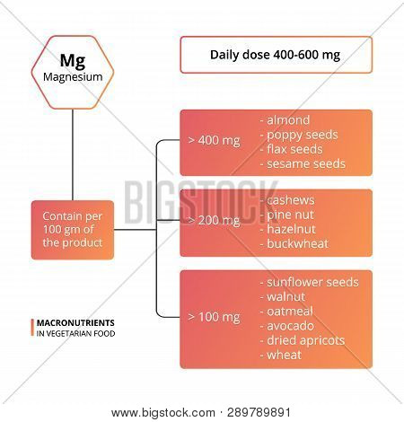 Vector Scheme Of The Nutrients, Vitamins And Minerals. Daily Dose Of Macronutrients. Vector Infograp