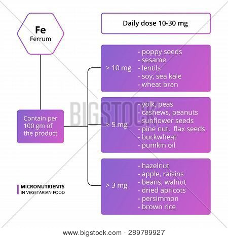 Vector Scheme Of The Nutrients, Vitamins And Minerals. Vector Healthy Vegetarian Food. Daily Dose Of