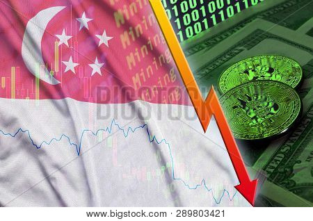 Singapore Flag And Cryptocurrency Falling Trend With Two Bitcoins On Dollar Bills And Binary Code Di