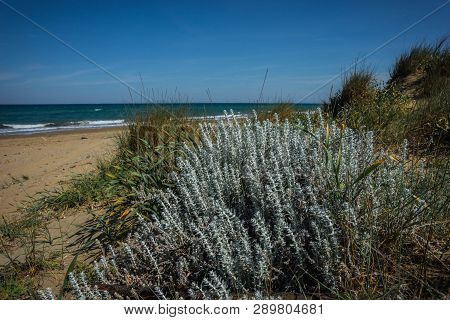 Sea And Beach In Kalogria On Peloponnese In Greece