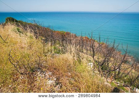 Seascape In Kalogria On Peloponnese In Greece