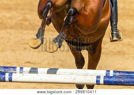 Horse Rider Jump  Closeup Hoofs Feet Shoes Poles