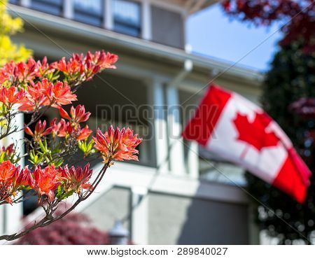 A Middle Class Home With Flowers In The Foreground And A Canadian Flag Waving In The Background.