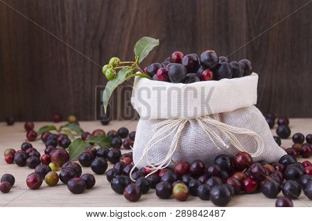 Fruit Of Wild Agaz (vaccinium Meridionale)