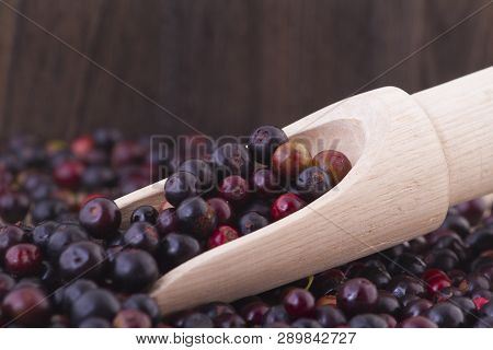 Fruit Of Wild Agaz (vaccinium Meridionale)
