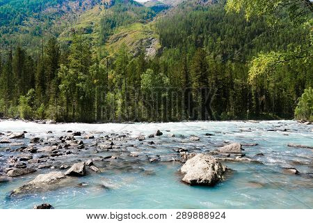 Mountain River Flowing In The Forest. Blue Kucherla River In Belukha National Park, Altai Mountains,