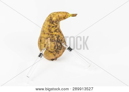 Close-up Boring Trace Of A Codling Moth Cydia Pomonella, In A Wormy Pear. On White Background. With 