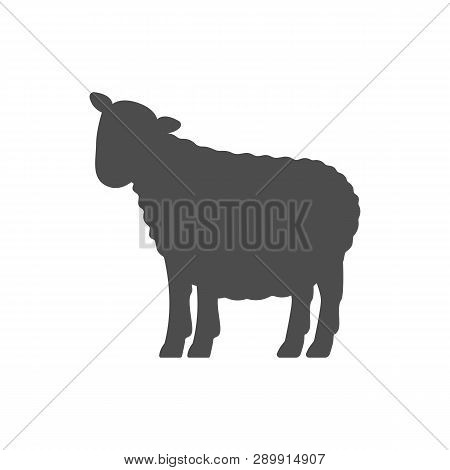 Sheep Silhouette. Isolated On White Background. Vector.