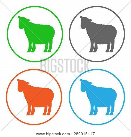 Sheeps. Icon Set. Isolated On White Background. Vector.