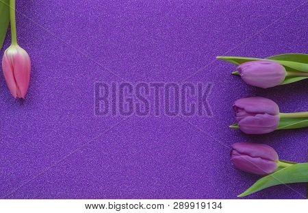 Purple And Pink Tulips On Purple Glitter Background With Copy Space