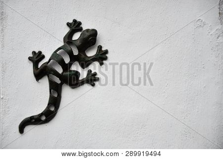 Iron Geko Walking By A White Wall