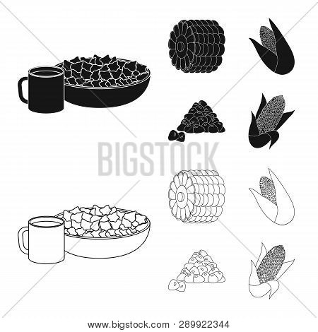 Vector Design Of Cornfield And Vegetable Sign. Collection Of Cornfield And Vegetarian Stock Vector I