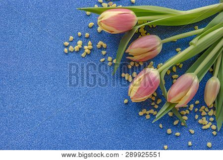 Red And Yellow Tulips On Blue Glitter Background With Copy Space