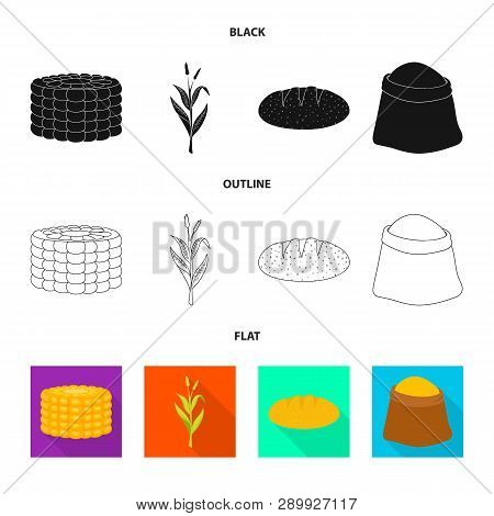 Vector Design Of Cornfield And Vegetable Icon. Collection Of Cornfield And Vegetarian Vector Icon Fo