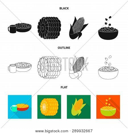 Vector Illustration Of Cornfield And Vegetable Sign. Set Of Cornfield And Vegetarian Vector Icon For