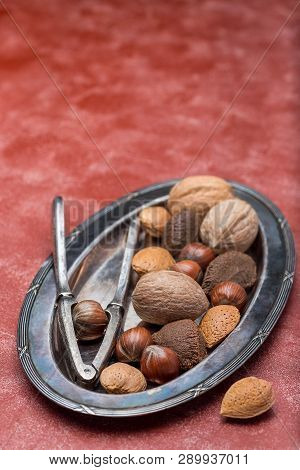 Different Kinds Of Nuts In The Shell. Hazelnut, Walnut, Almond And Brazil Nuts On The Plate With Nut