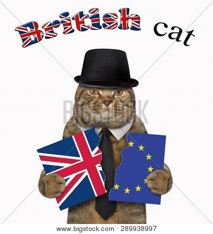 The Funny Cat In A Black Hat Holds A Banner Torn In Half. One Part Is The Flag Of Great Britain And 