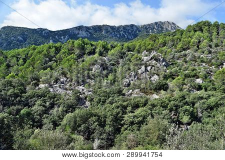 View Of The Lluc Mountains On The Way To The Sa Calobra