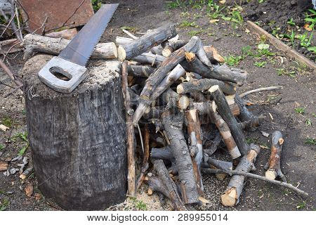 Heap Of Logs On Stump With Saw For Bbq Work