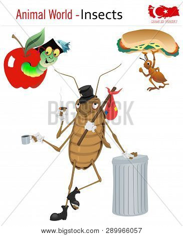 Animal World - Insects, Vector, Eps, Wild Life