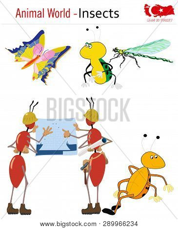 Animal World - Insects, Vector, Eps, Wild Life