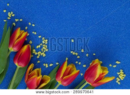Red And Yellow Tulips On Blue Glitter Background With Copy Space