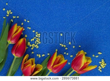 Red And Yellow Tulips On Blue Glitter Background With Copy Space