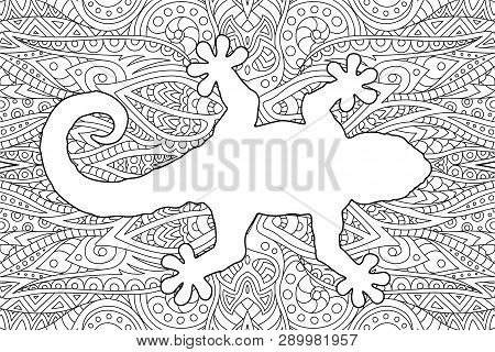 Beautiful Monochrome Coloring Book Page With White Gecko Silhouette On Beautiful Abstract Linear Bac