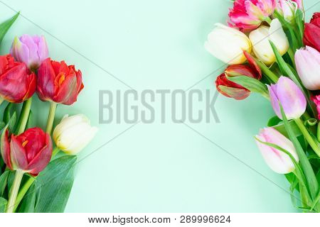 Bouquet Of Fresh Tulips Flowers Frame On Pastel Green Ment Background, Top View With Copy Space