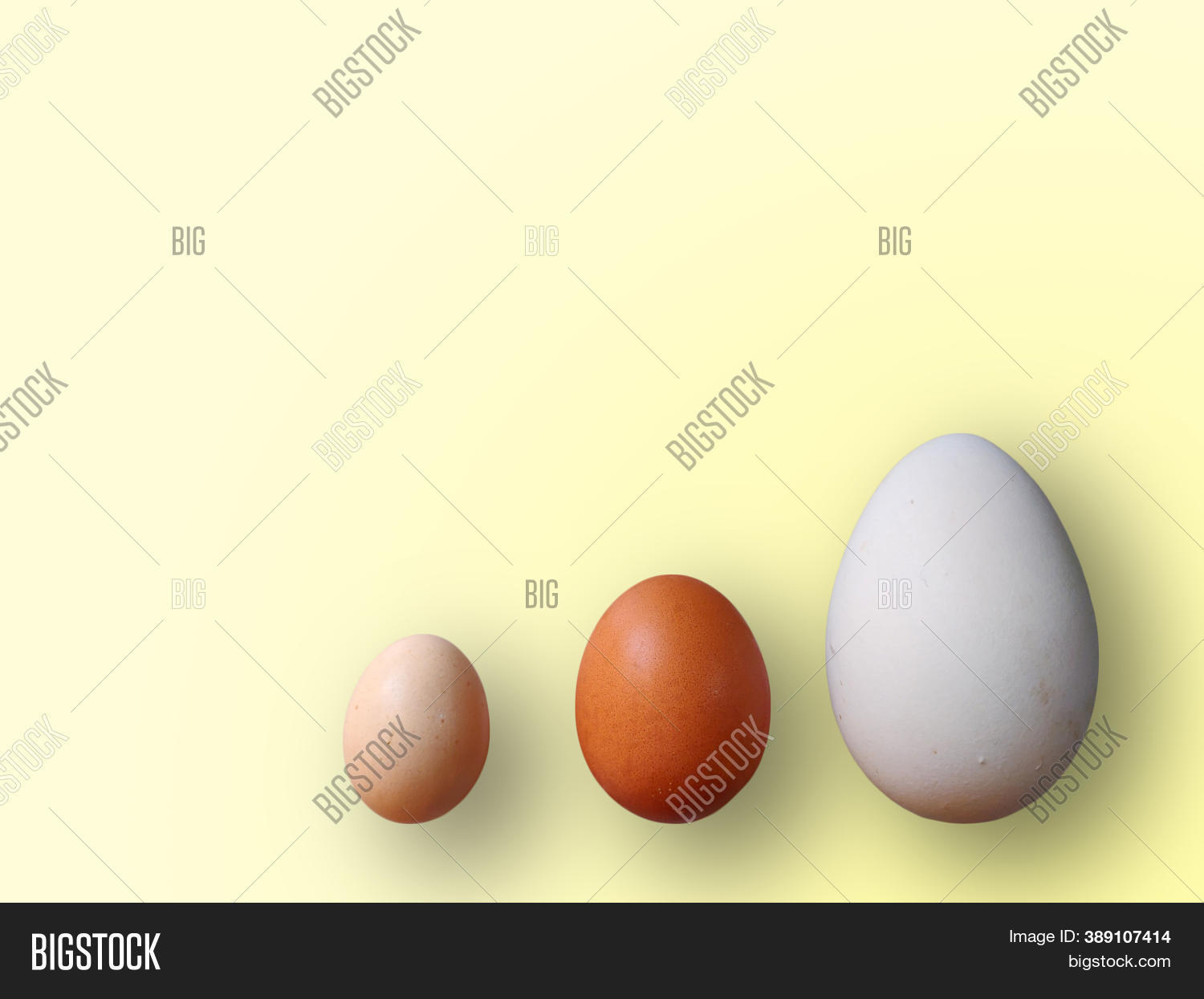 Eggs Different Size On Image & Photo (Free Trial) | Bigstock