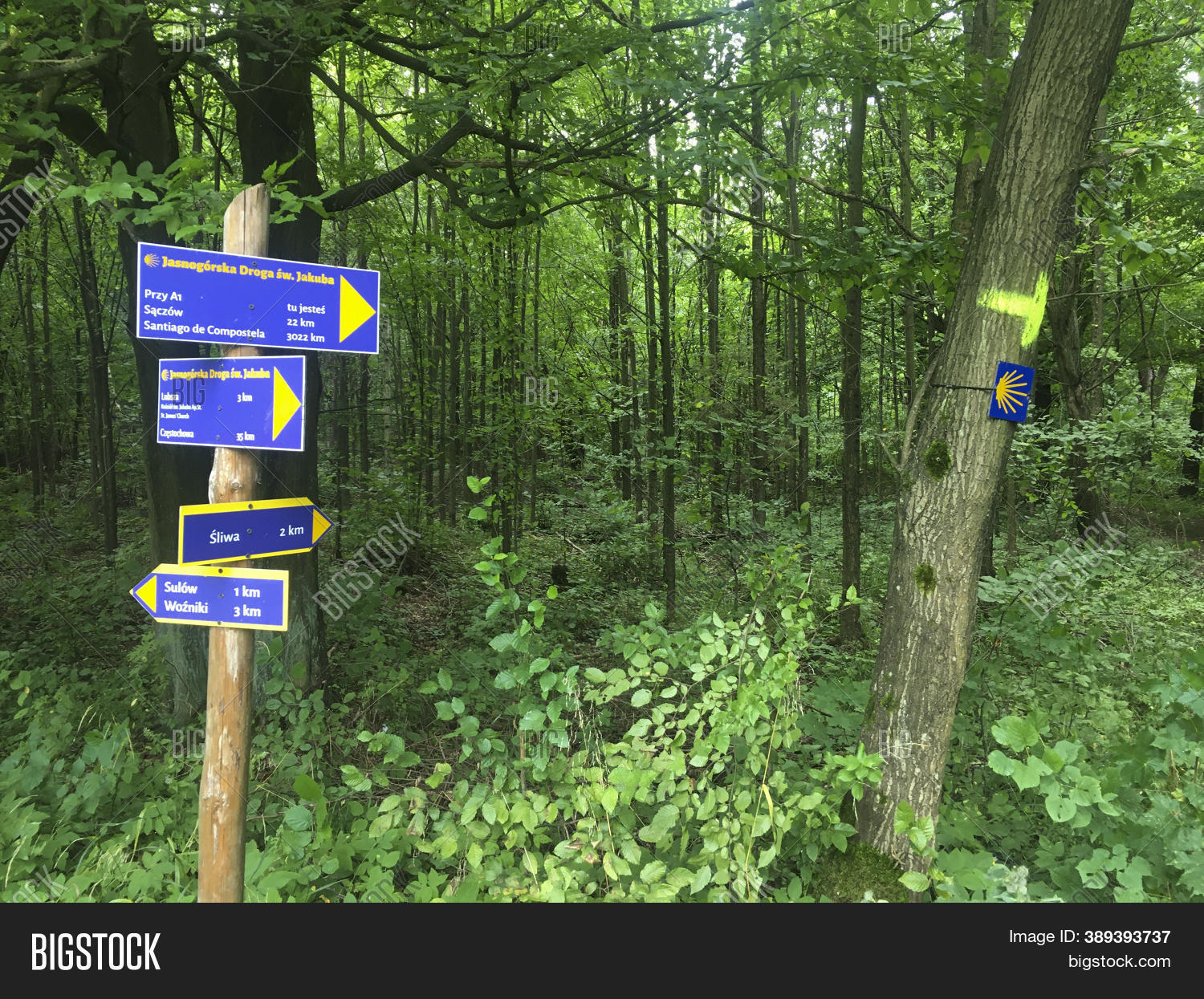Camino De Santiago Image Photo Free Trial Bigstock