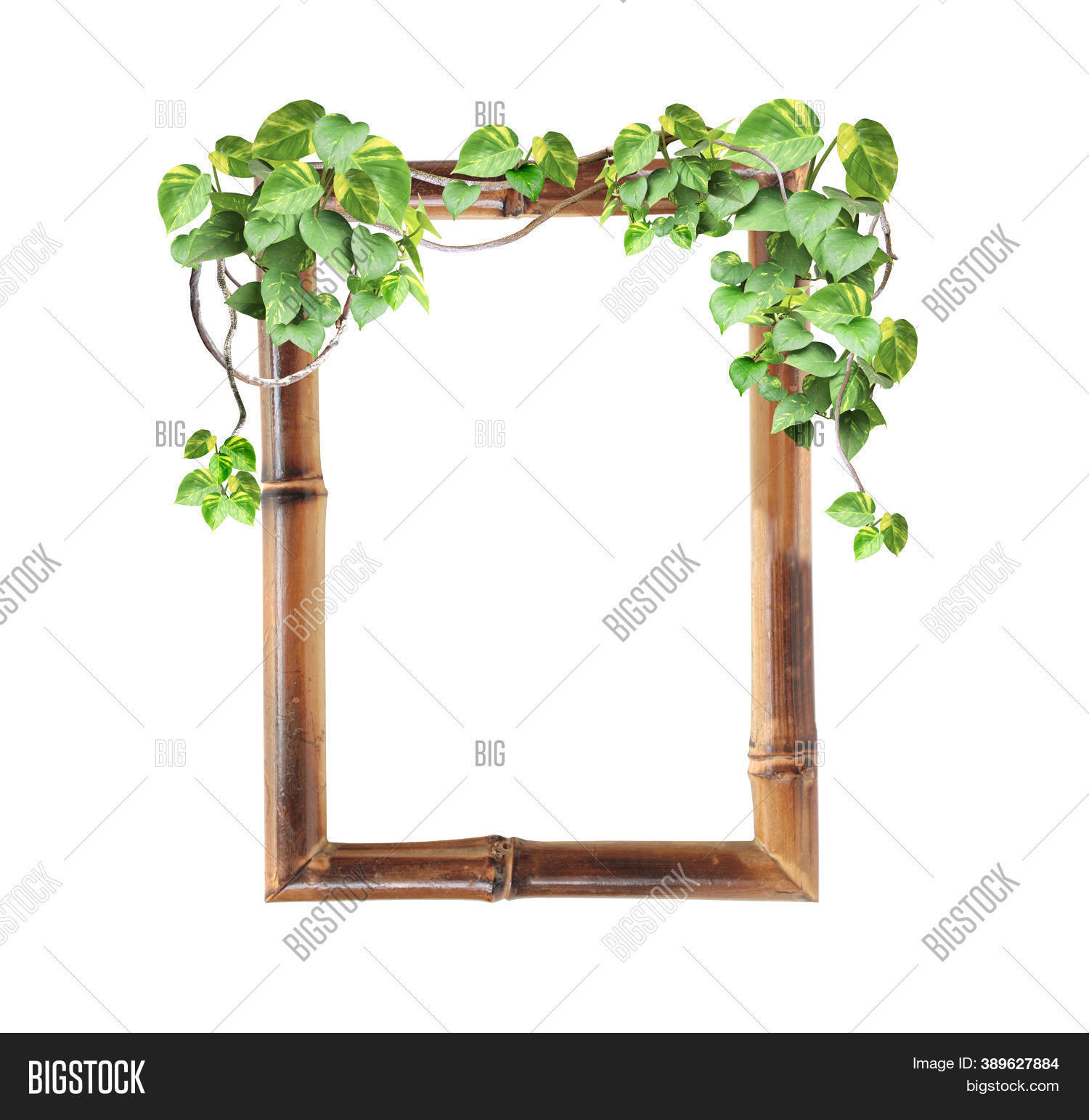 Vintage Bamboo Frame Image & Photo (Free Trial) Bigstock