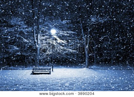 Winter Park At Night