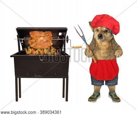A Beige Dog In A Red Chef Hat With A Barbecue Fork Is Grilling A Slice Of Salmon On Skewer. White Ba
