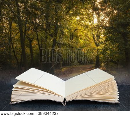 Beautiful Autumn Fall Colorful Vibrant Forest Landscape In Pages Of Open Fantasy Book